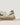 Flamingos Life Burela Bold Olive