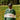 DITO Collective Rugby Sweater Polo