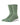 Stance Socks Icon Sage